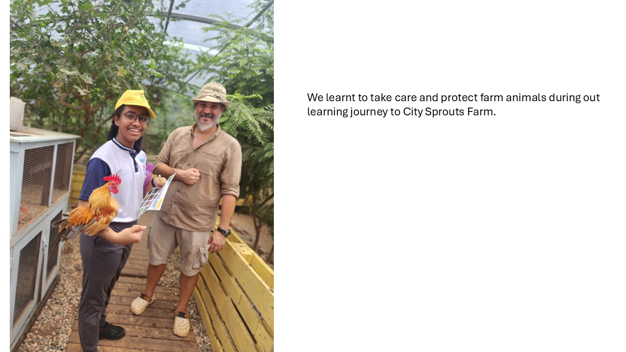 Learning Journey to City Sprouts Farm
